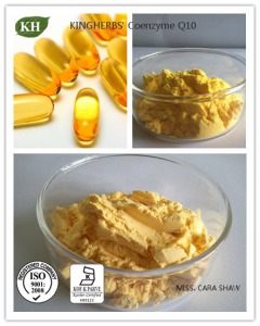 Professional Manufacture High Quality Coenzyme Coq10